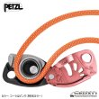 画像2: 【予約販売】NEOX (限定カラー) (2)