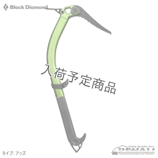 画像3: Viper (2025FW) (3)