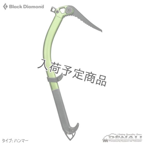 画像2: Viper (2025FW) (2)