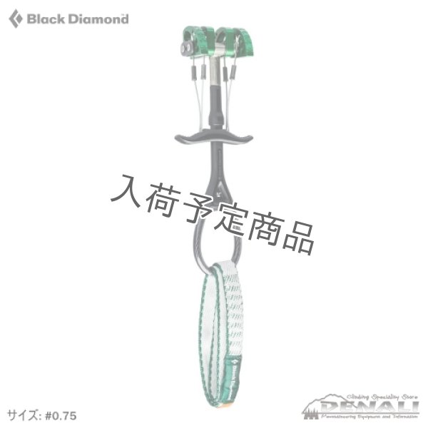 画像1: CAMALOT Expendable Sling (1)