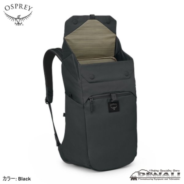 画像3: Aoede Sync Pack (3)