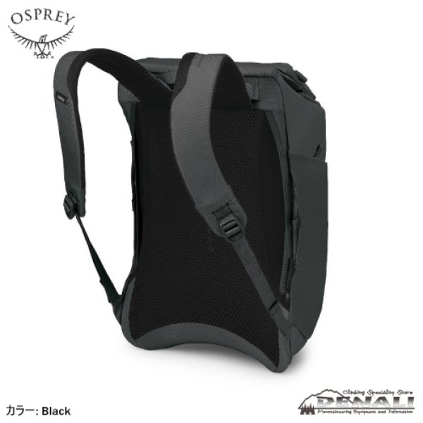 画像2: Aoede Sync Pack (2)