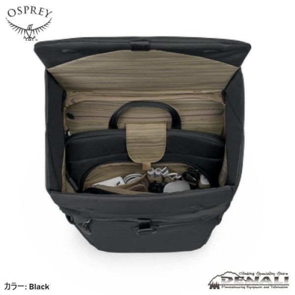 画像4: Aoede Sync Pack (4)