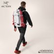 画像10: Alpha SL30 Backpack (10)