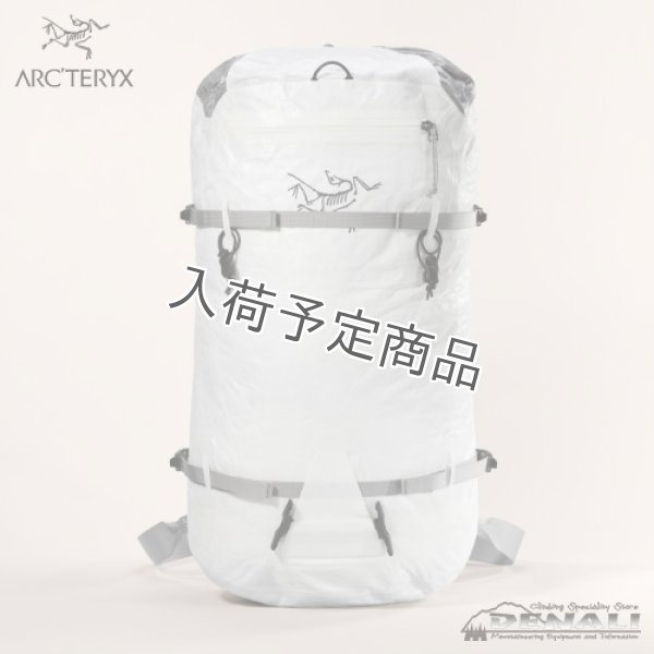 画像1: Alpha SL30 Backpack (1)