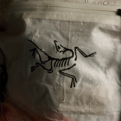 画像1: Alpha SL30 Backpack