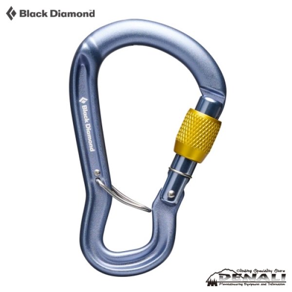画像1: Gridrock Screw Gate (2026) (1)