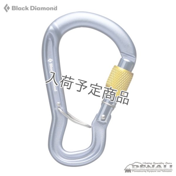 画像1: GRIDLOCK SCREWGATE (2026) (1)