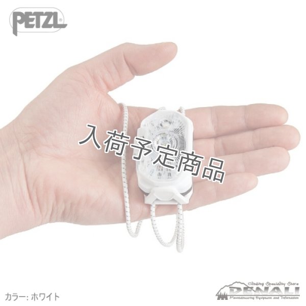 画像5: SWIFT LT (5)