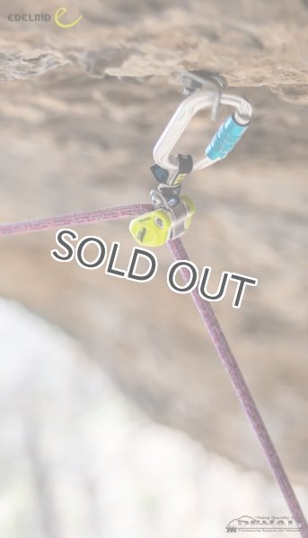 画像2: OHMEGA (EDELRID) (2)