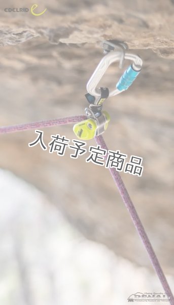 画像2: OHMEGA (EDELRID) (2)