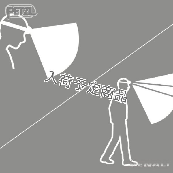 画像6: ARIA 2 RGB (2026) (6)