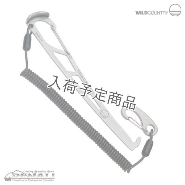 画像1: Pro Key  With Leash (1)