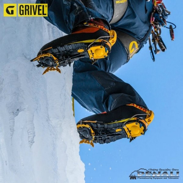 画像3: 【期間限定セール】G22 Plus EVO (3)