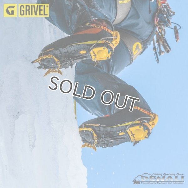 画像3: G22 Plus EVO (3)