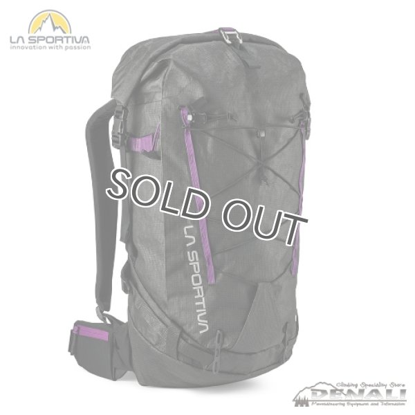 画像1: Challenger 28 BackPack (1)