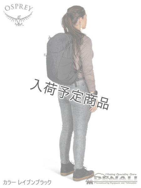 画像9: Daylite Plus Limited Edition (9)