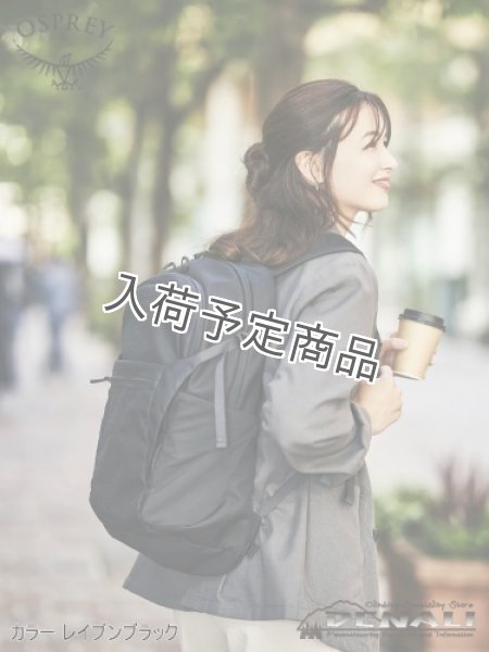 画像11: Daylite Plus Limited Edition (11)