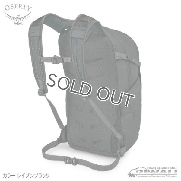 画像2: Daylite Plus Limited Edition (2)