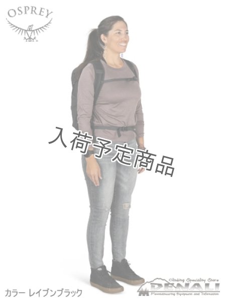 画像8: Daylite Plus Limited Edition (8)