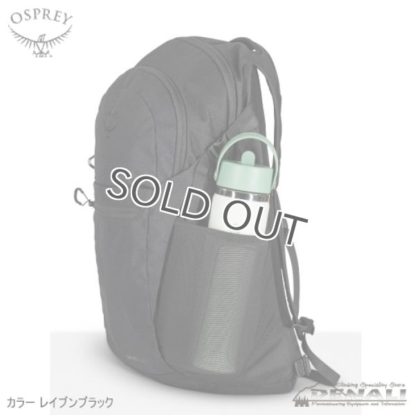 画像7: Daylite Plus Limited Edition (7)