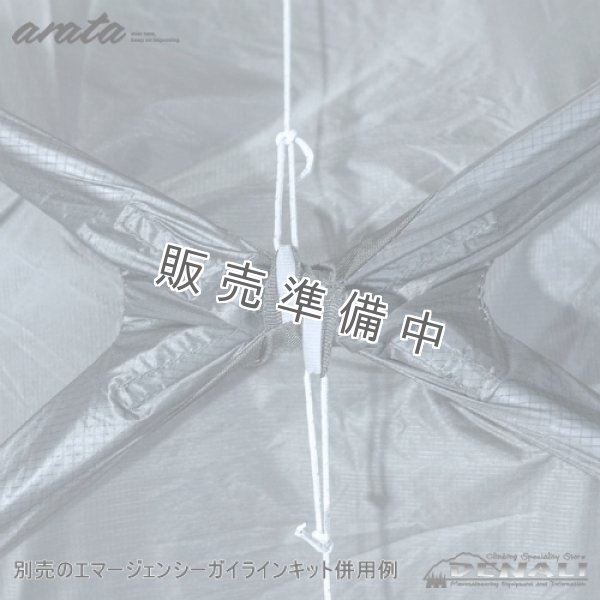 画像12: AX-100  (ペグなし) (12)