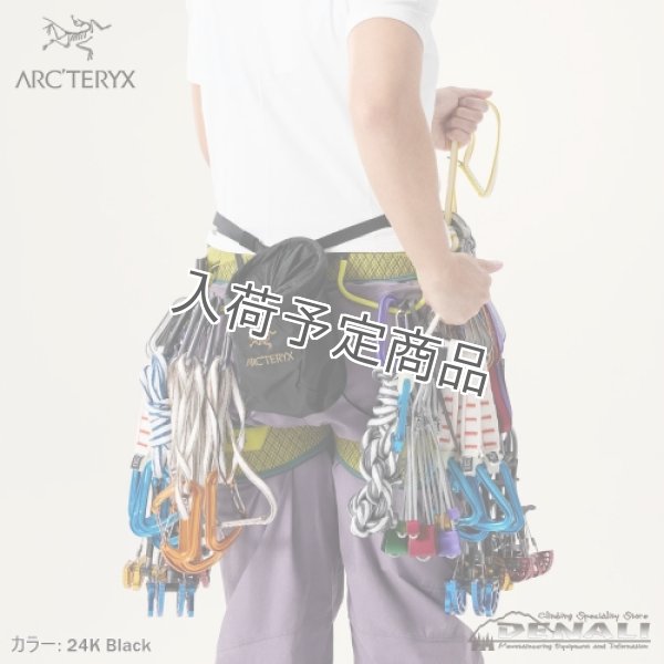 画像2: Ion SL Chalkbag (2026FW Color) (2)