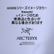 画像4: AXIOS 20 Tote Bag (4)