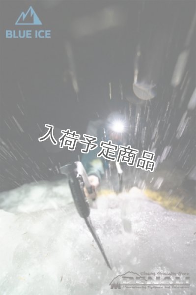 画像9: Phoenix (BLUE ICE) (9)