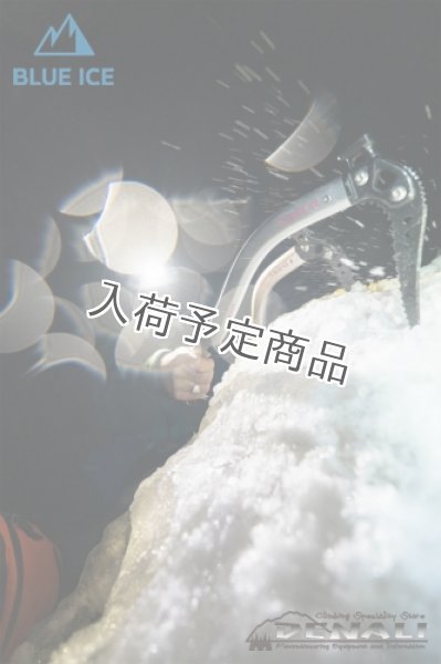 画像10: Phoenix (BLUE ICE) (10)