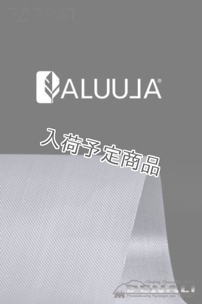 画像6: EL55 G (6)