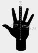 画像9: Alpha Lead Glove (9)