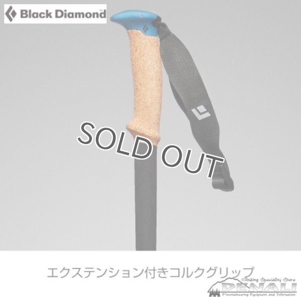 画像4: ALPINE CARBON CORK WR (4)