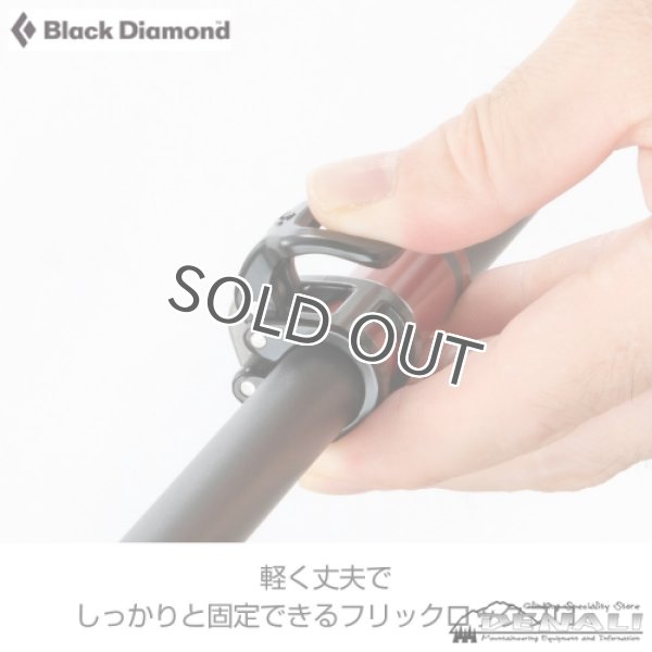 画像7: ALPINE CARBON CORK WR (7)