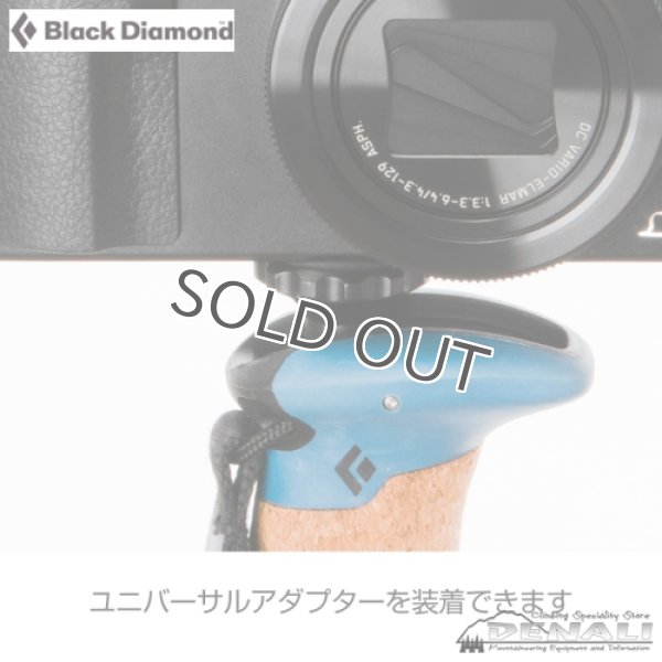 画像5: ALPINE CARBON CORK WR (5)