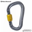 画像2: VaporLock Screwgate Carabiner (2020) (2)