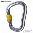 画像1: VaporLock Screwgate Carabiner (2020) (1)