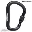 画像2: RockLock Screwgate Carabiner (2020) (2)