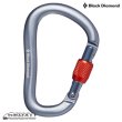 画像1: RockLock Screwgate Carabiner (2020) (1)