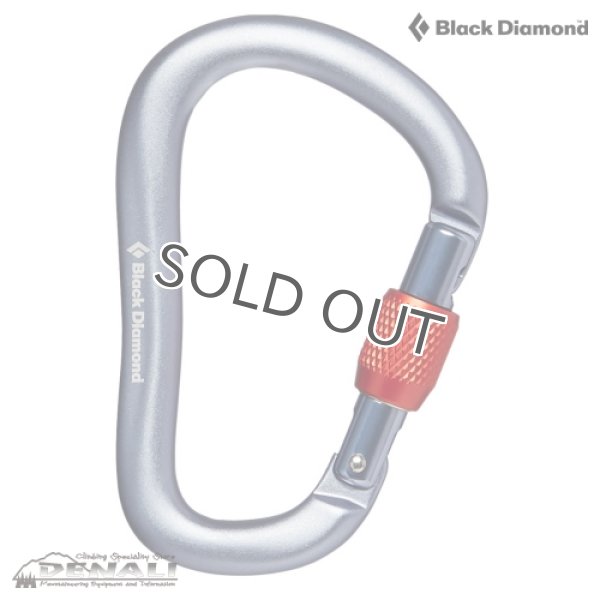 画像1: RockLock Screwgate Carabiner (2020) (1)