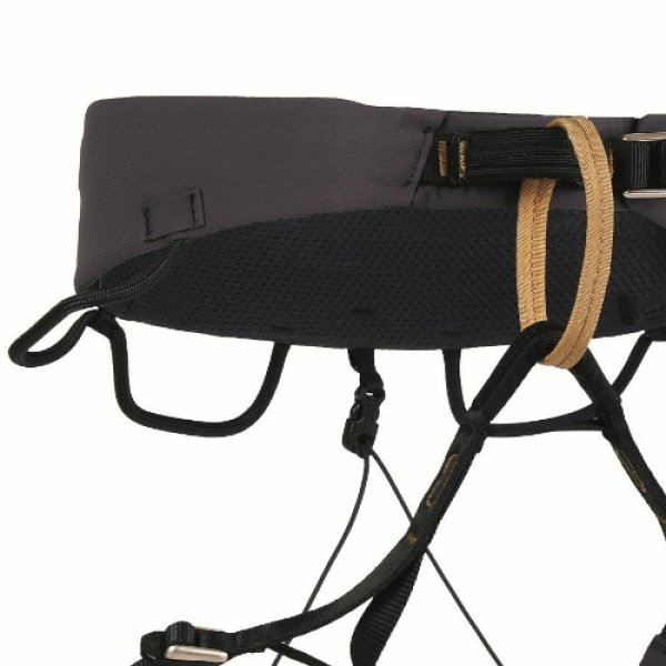 画像2: CUESTA ADJ (2)