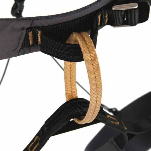 画像3: CUESTA ADJ (3)