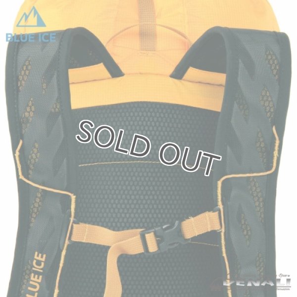 画像4: DORAGONFLY 25 (2019) (4)