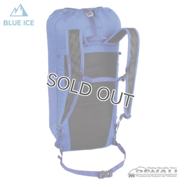 画像5: DORAGONFLY 25 (2019) (5)