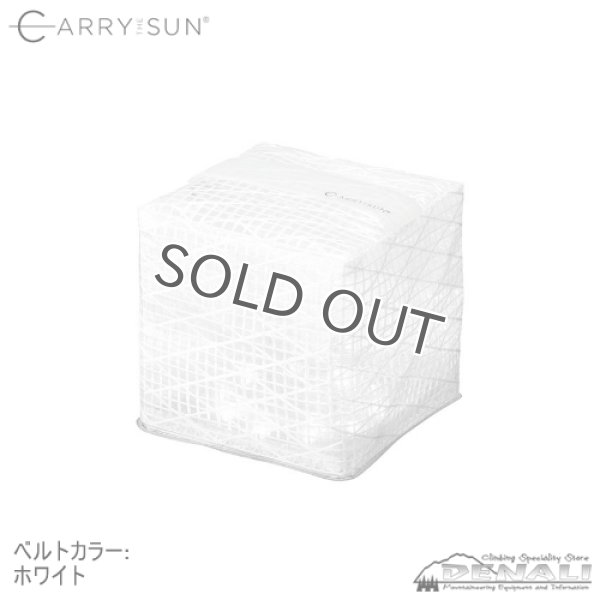 画像2: Medium Light Cool Bright (2)