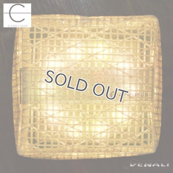 画像5: Medium Light Warm Light (5)