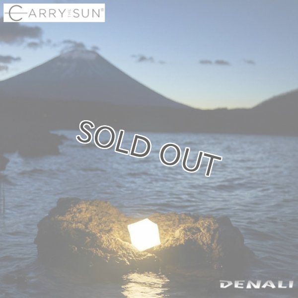 画像6: Medium Light Cool Bright (6)