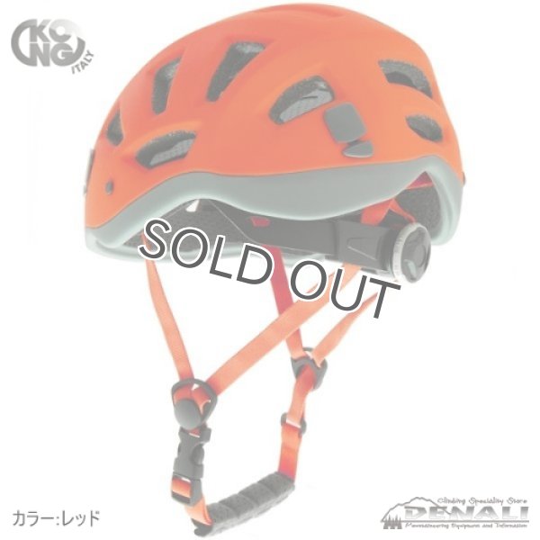 画像12: REEF (2020) (12)