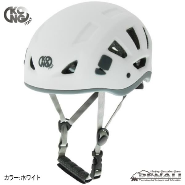 画像4: REEF (2020) (4)