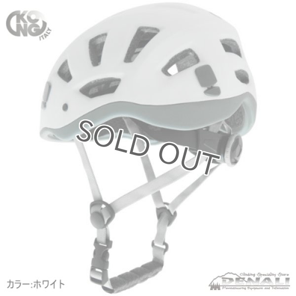 画像10: REEF (2020) (10)